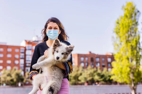 Güzel köpek, Covid-19 için maske takan bir kadınla kucaklaşan sınır köpeği. Hayat tarzı evcil hayvan, arkadaşlık dışı.