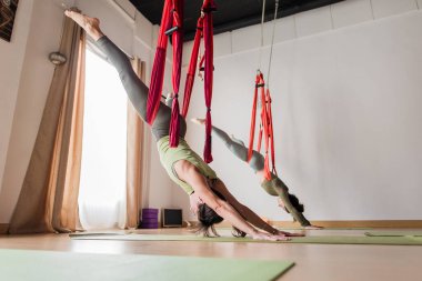 Modern bir spor salonundaki kırmızı anti-yerçekimi hamaklarını kullanarak ters yoga yapan iki kadın.