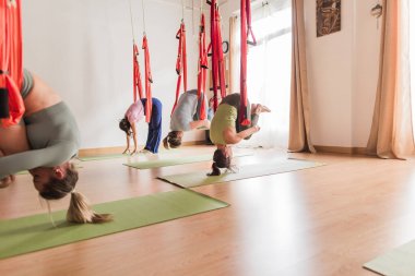 Hamaklarda baş aşağı asılı bir grup kadın ve hava yogası egzersizleri sırasında esneme hareketleri yapıyorlar.