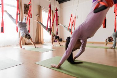 Yerçekimsiz yoga sınıfında hamaklarla adho mukha svanasana yapan çeşitli kadınlar, sağIık ve esnekliği teşvik ediyorlar.