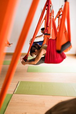 Bir grup kadın, zindelik için havadan anti-yerçekimi yoga dersi sırasında askıya alınmış hamaklarda derin bir şekilde esniyor ve dengede duruyorlar.