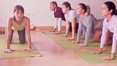 Marjaryasana bitilasana akışını gerçekleştiren kadın ve erkeklerden oluşan çok kültürlü bir grup. Yoga dersinde kedi ineği esnetme alıştırması yapan insanlar.