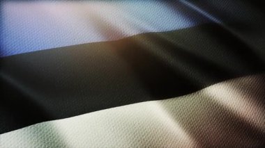 4k Estonya Ulusal Bayrak Kırışıklıkları Estonya 'nın dikdörtgen arka planında rüzgarı.