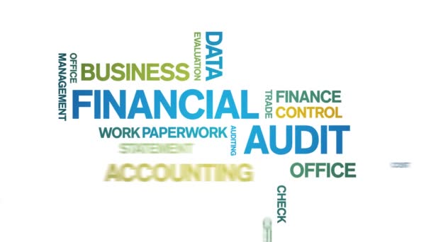 4k Financial Audit Animated Tag Word Cloud, Text Design Animation bezešvé smyčky. — Stock video