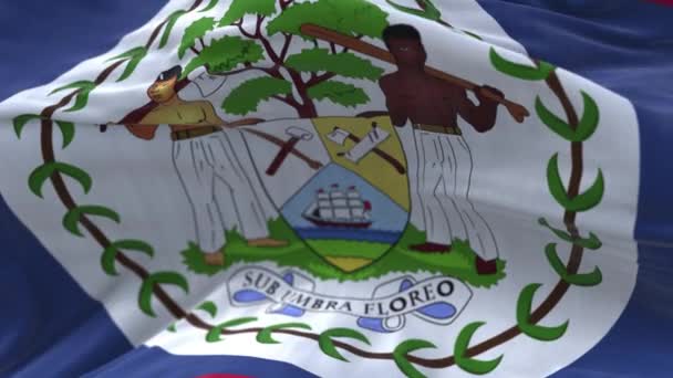 4k Belize Bandeira nacional rugas loop vento sem costura em fundo céu azul. — Vídeo de Stock