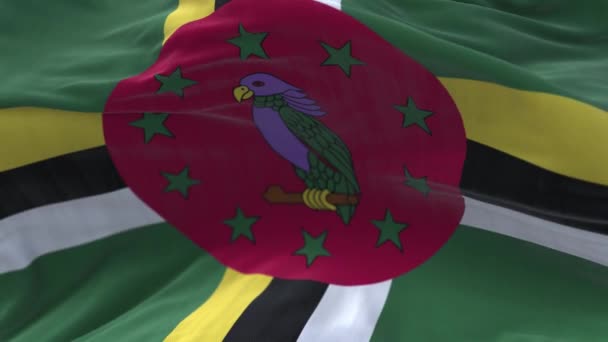 4k Dominic National flagga rynkor loop sömlös vind i blå himmel bakgrund. — Stockvideo
