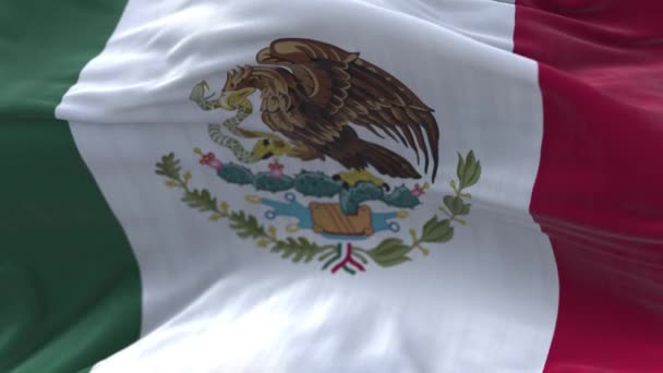 4k Meksika Ulusal bayrak kırışıklıkları mavi gökyüzü arka planında pürüzsüz rüzgar döngüsü. — Stok video