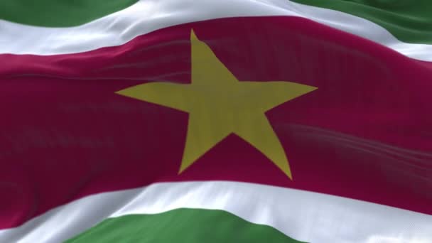 4k Suriname Nationale vlag rimpels lus naadloze wind in blauwe lucht achtergrond. — Stockvideo