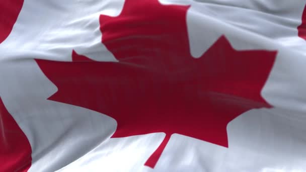 4k Kanada Nemzeti zászló ráncok hurok zökkenőmentes szél kék ég háttér. — Stock videók