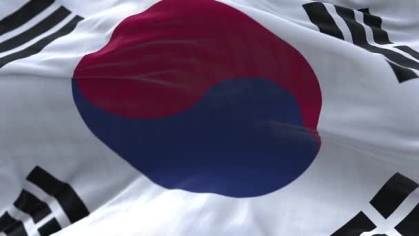 4k Республіка Корея Національний прапор Південної Кореї зморшкуватий фон. — стокове відео