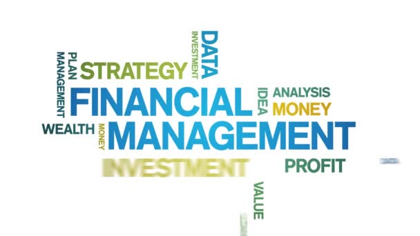 4k Financial Management Animated Tag Word Cloud, Text Animation nahtlose Schleife. — Stockvideo