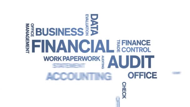 4k Financial Audit Animated Tag Word Cloud, Text Design Animation bezešvé smyčky. — Stock video