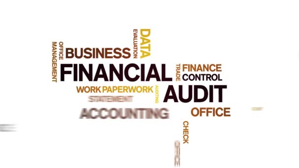 4k Financial Audit Animated Tag Word Cloud, Text Design Animation nahtlose Schleife. — Stockvideo