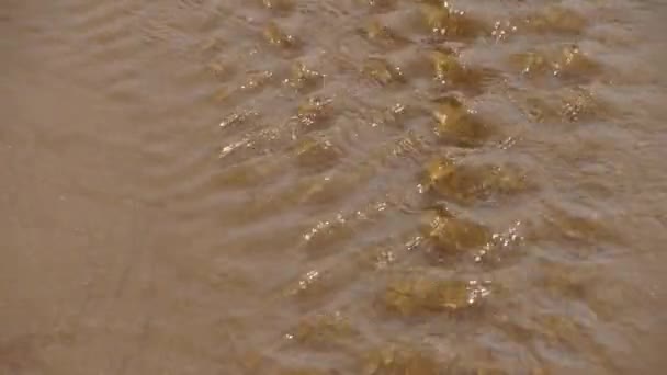Вода течет по песку на пляже. — стоковое видео