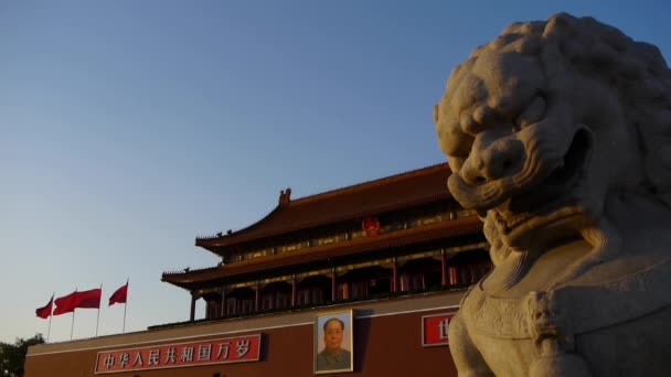 Alter Bronzelöwe vor der verbotenen Stadt in der Abenddämmerung, China Politisches Zentrum. — Stockvideo