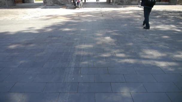 Ludzie chodzą w cyprysie drzewa parku drogowego, Chiny Pekin czerwone drzwi starożytnych budynków — Wideo stockowe