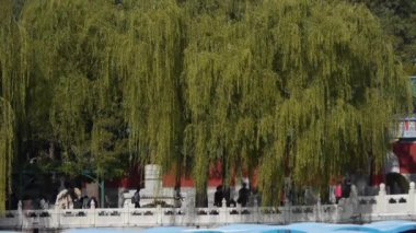 Çin Pekin antik mimarisi Beihai Park beyaz kulesi söğüt adasında.