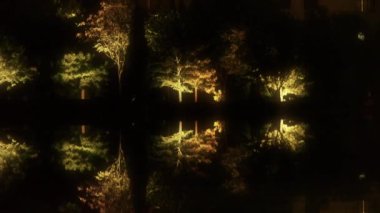 Orman yansıması gölün sakin sularında. Karanlık bir gece aynası gibi..