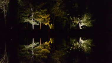 Orman yansıması gölün sakin sularında. Karanlık bir gece aynası gibi..