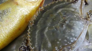 Lezzetli yengeç & Croaker Pomfret balığı, çevirmeli levha içinde. Buz gibi balıkçılar.