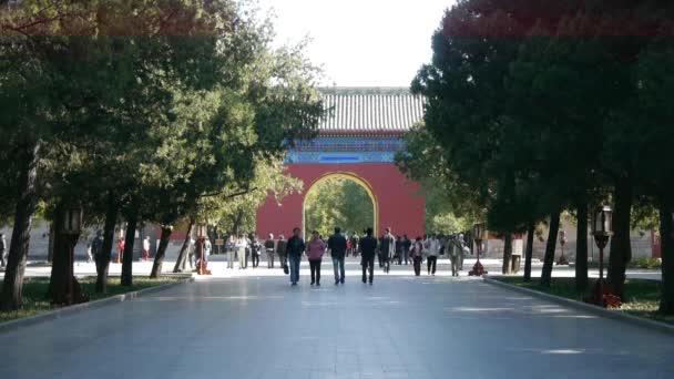 Люди гуляют в парке кипарисовых деревьев, Китай Пекин красные двери древних зданий. — стоковое видео
