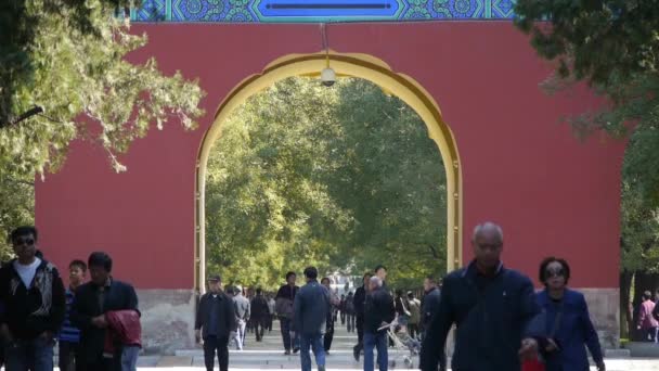 Aziatische mensen lopen in cipressen park, China Peking rode deur oud gebouw — Stockvideo