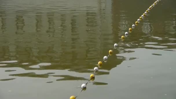 Flotte sur lake.Water surface.sea océan. — Video