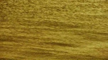 Akşam karanlığında su yüzeyi.