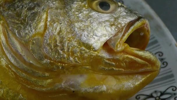 Läcker Croaker fisk inom dial plate.fisheries. — Stockvideo