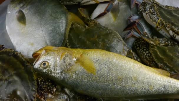 Delicioso Croaker Pomfret pescado y cangrejos dentro de plate.fisheries línea. — Vídeo de stock