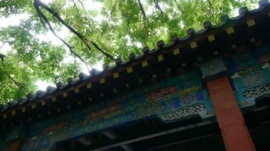 Çin antik binası, oyulmuş kirişler ve boyama evleri, esen rüzgar yaprakları..