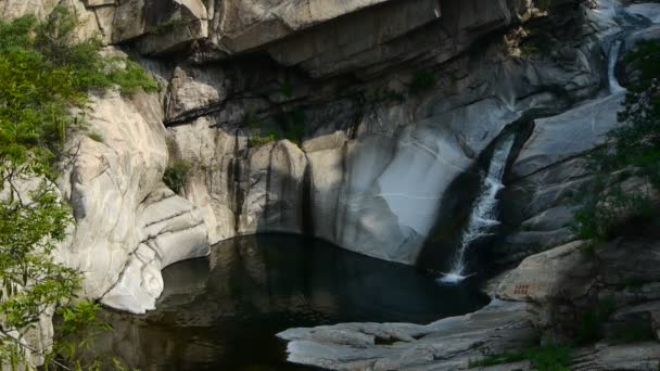 多層石、森林&低木からプールに渓流. — ストック動画