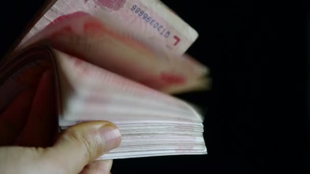 Business people Counting money RMB. — Stockvideo