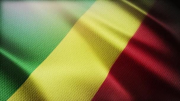 4k Republiken Kongo National flagga rynkor viftande himlen sömlös bakgrund. — Stockvideo