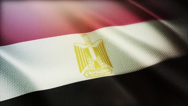 4k Egitto Bandiera nazionale rughe vento in egiziano senza soluzione di continuità loop sfondo . — Video Stock
