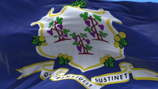 4k Connecticut flagga, Stat USA Amerika, tyg textur loop bakgrund. — Stockvideo