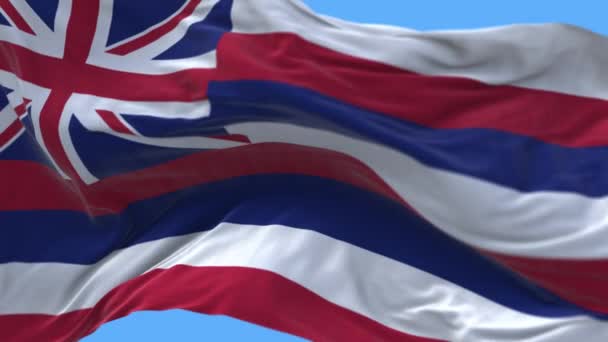 4k Hawaii flagga, stat i USA Amerika, tyg textur loop bakgrund. — Stockvideo