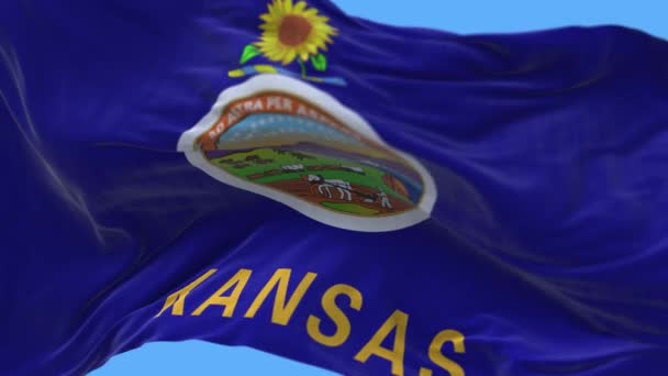 4k Kansas flagga, delstat i USA, tyg textur loop bakgrund. — Stockvideo