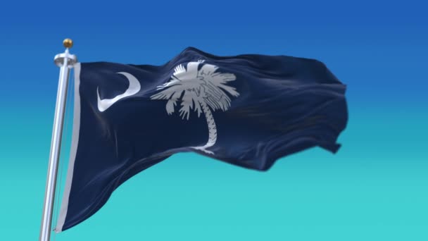 4k South Carolina Flagge, Bundesstaat in den Vereinigten Staaten von Amerika, Stoffschleife Hintergrund. — Stockvideo