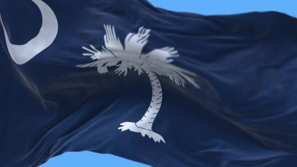 4k South Carolina flagga, delstat i USA, trasa loop bakgrund. — Stockvideo