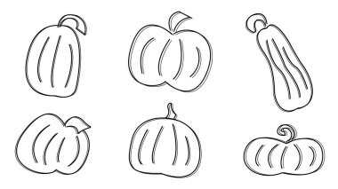 Sonbahar balkabaklarıyla çizilmiş basit çizgisel el çizimleri. Nesneler, öğeler, klişeler, Şükran Günü ve Cadılar Bayramı için çıkartmalar. Hediye kartı süslemek için tatlı bir balkabağı, kıyafet baskısı.