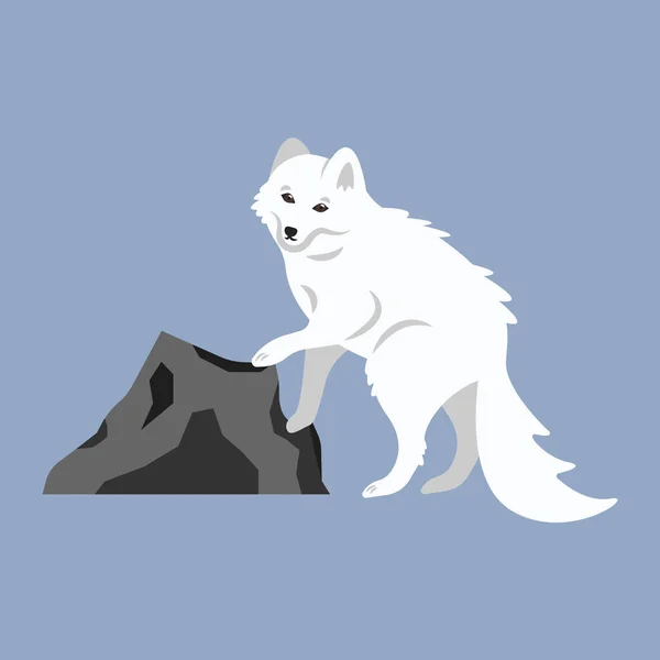 かわいいふわふわの白い北極キツネ トンドラ シベリア 北から野生のホッキョクグマの漫画のイラスト 動物保護のための慈善団体のエコポスターデザインのためのクリッパート — ストックベクタ