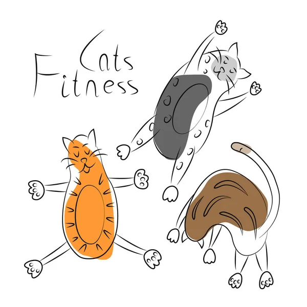 Colección Divertidos Gatos Gordos Dedicados Deporte Fitness Yoga Ilustración Lineal — Archivo Imágenes Vectoriales