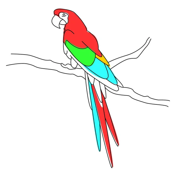 Semplice Illustrazione Lineare Uccello Tropicale Esotico Pappagallo Macaw Multicolore Seduto — Vettoriale Stock