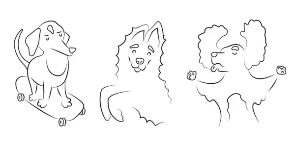 Συλλογή Γραμμικών Εικονογραφήσεων Διαφορετικές Φυλές Σκύλων Γραμμή Εικονίδια Κατοικίδιων Ζώων — Διανυσματικό Αρχείο