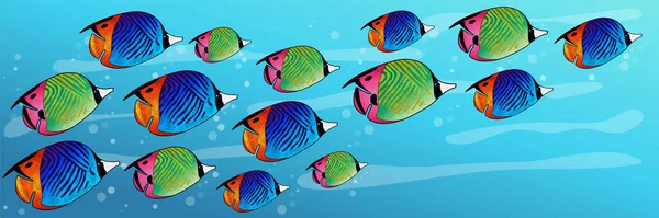 Cardume Peixes Marinhos Tropicais Brilhantes Fundo Colorido Com Oceano Habitantes — Vetor de Stock