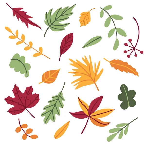 Set of autumn leaves and twigs in cartoon flat doodle style. Leaf of maple, oak and various trees. Objects, elements, cliparts, items for the design of postcards, posters, banners. For Thanksgiving