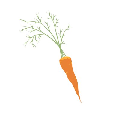 Olgun havucun basit düz simgesi. A vitamini kaynağı. Hasat günü için element. Tırman, nesne, bahçe işleriyle ilgili mevsimsel tasarım için öğe. Market ya da market etiketi. Sebze dükkanı için dekor