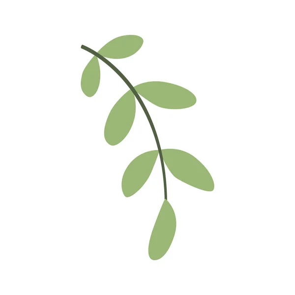 Симпатичная Зеленая Веточка Овальными Листьями Стиле Дудла Простая Плоская Осенняя — стоковый вектор