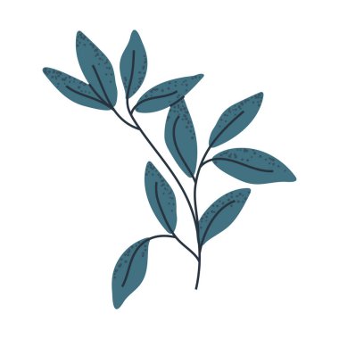Mavi yaprak dalı botanik tasarım ögesi vektörü